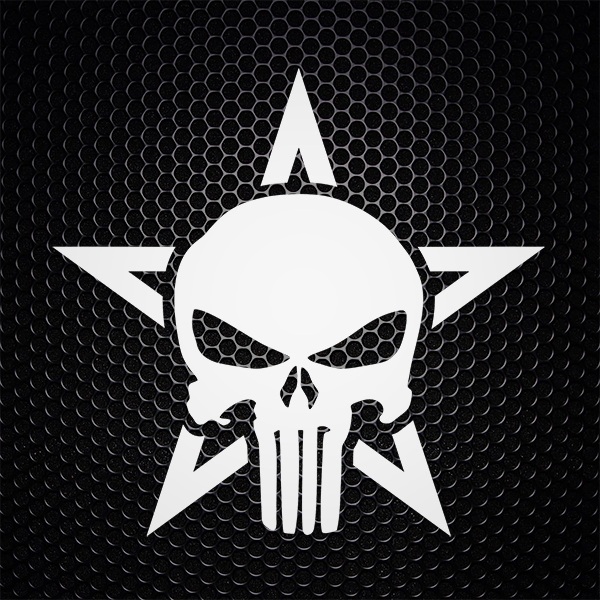 Punisher Skull Star 1/1