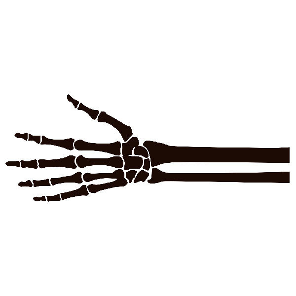 Car & Motorbike Stickers: Skeleton of a hand