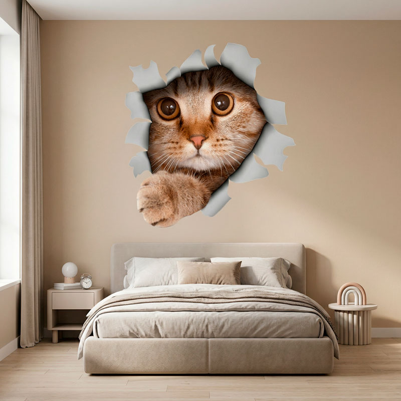 Hole kitten 7/7