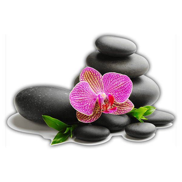 Wall Stickers: Orchid and stacked rocks