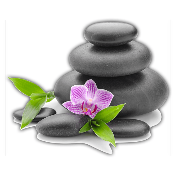 Wall Stickers: Stacked stones and Orchid