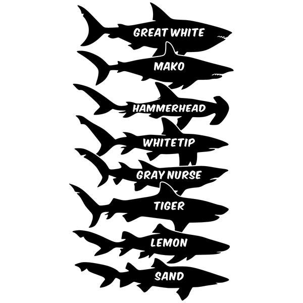 Wall Stickers: Sharks names English