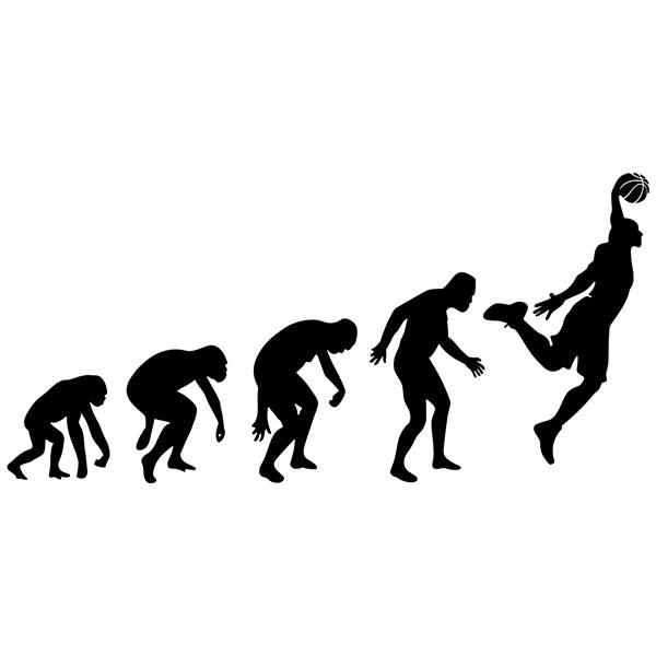 Wall Stickers: Evolution basketball