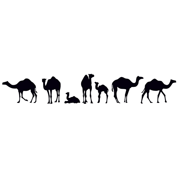 Wall Stickers: Family of dromedaries