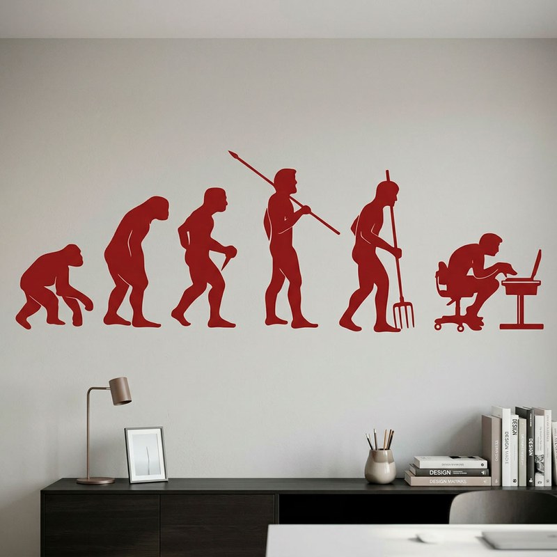 Human Evolution 4
