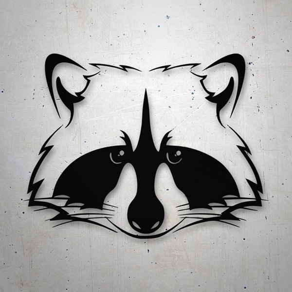 Car & Motorbike Stickers: Raccoon procyon 0