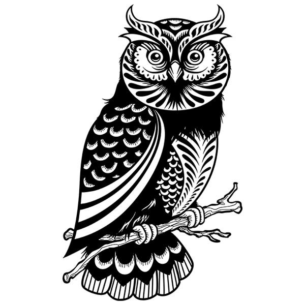 Wall Stickers: Owl Strigidae