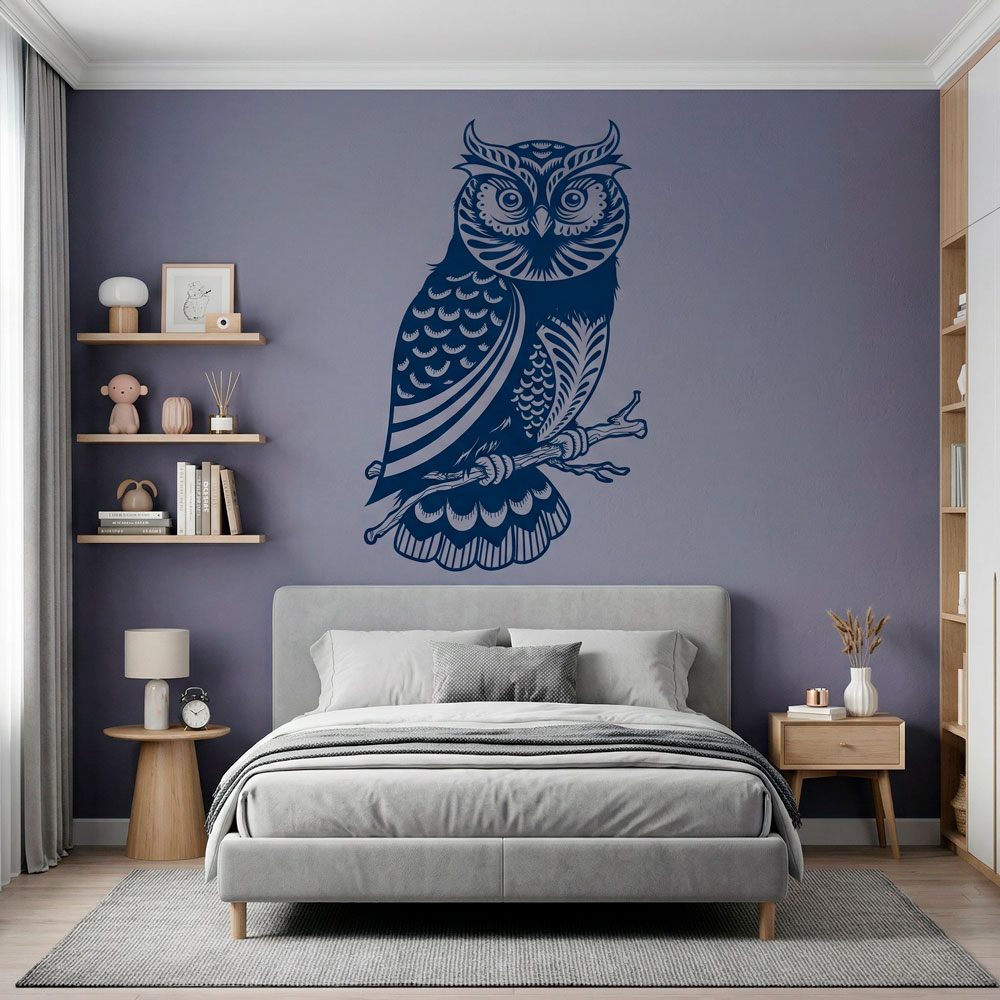 Owl Strigidae 6