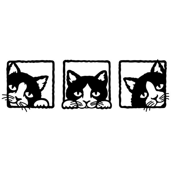 Wall Stickers: 3 kittens