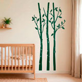 Wall Stickers: Trees in the forest in autumn 7
