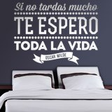 Wall Stickers: Si no tardas mucho... - Spanish 2