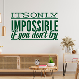 Wall Stickers: Its only impossible if you dont try 3
