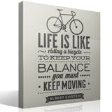 Wall Stickers: Life is like riding a bicycle 3