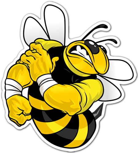 Car & Motorbike Stickers: Bee strong 0