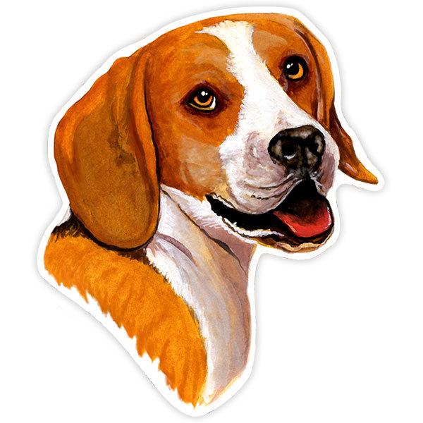 Car & Motorbike Stickers: Beagle