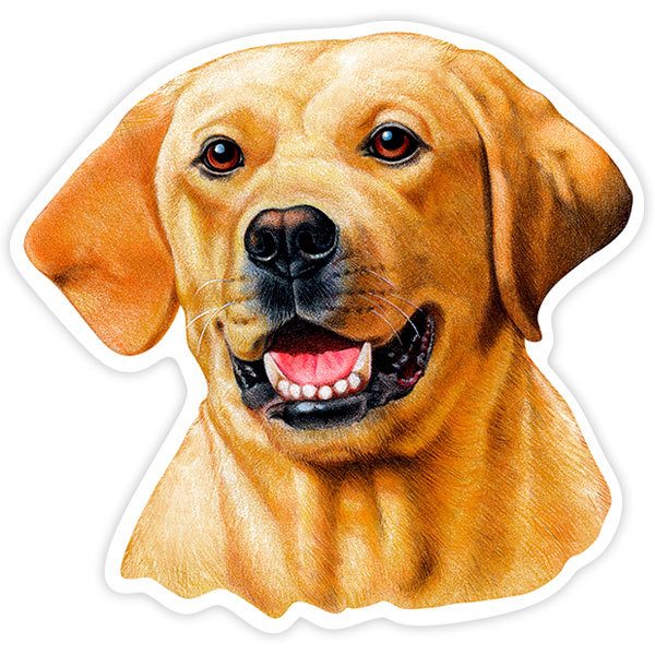 Car & Motorbike Stickers: Yellow Labrador Retriever
