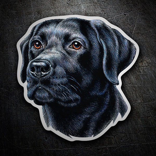 Car & Motorbike Stickers: Silhouette of Black Labrador Retriever Head