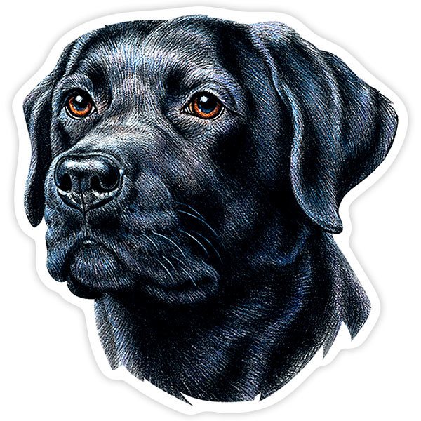 Car & Motorbike Stickers: Silhouette of Black Labrador Retriever Head