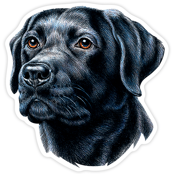 Car & Motorbike Stickers: Silhouette of Black Labrador Retriever Head