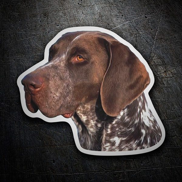 Car & Motorbike Stickers: German Shorthaired Pointer