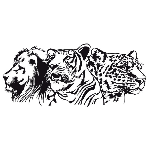 Wall Stickers: Lion, tiger and leopard