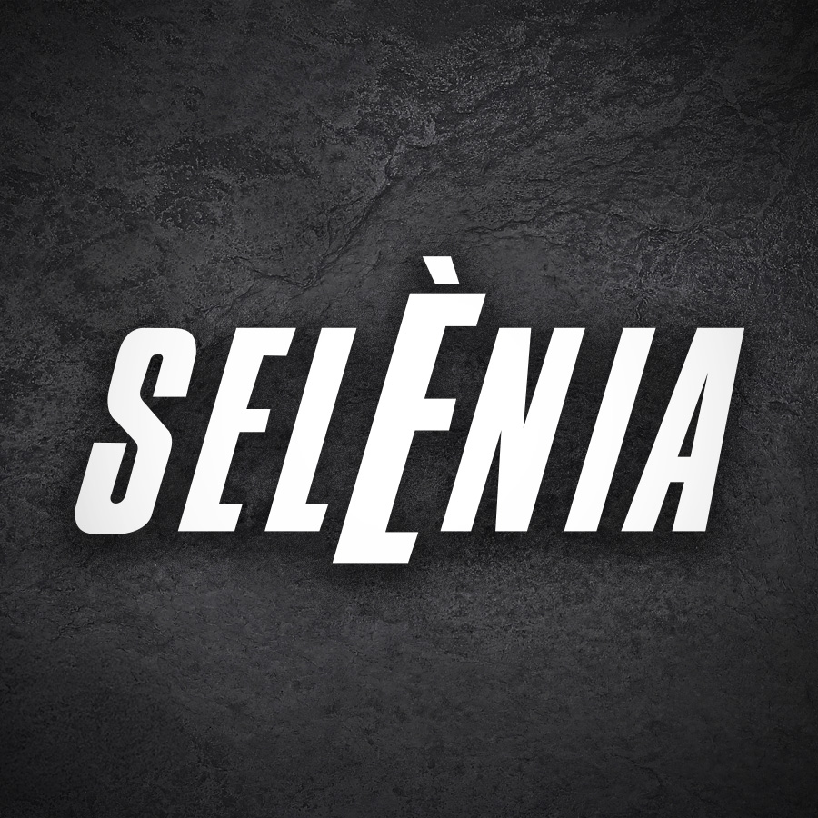 Car & Motorbike Stickers: Sel&egrave;nia Motor Oil