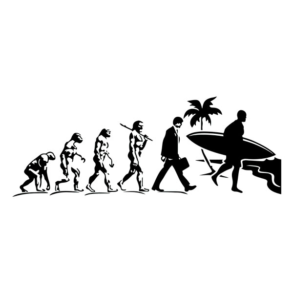 Camper van decals: Beach Surfer Evolution