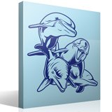 Wall Stickers: 4 Dolphins on sea floor 3