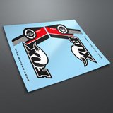 Car & Motorbike Stickers: Set Fox Racing Shox forks Mountain Bike 3