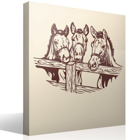 Wall Stickers: Three horses