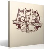 Wall Stickers: Three horses 3