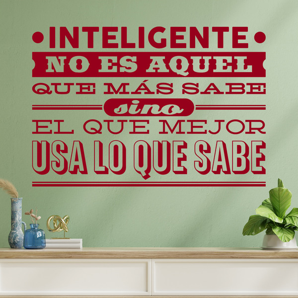 Wall Stickers: Inteligente no es aquel que más sabe...