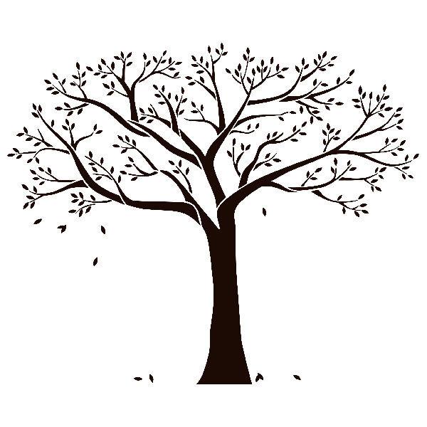 Wall Stickers: Family tree