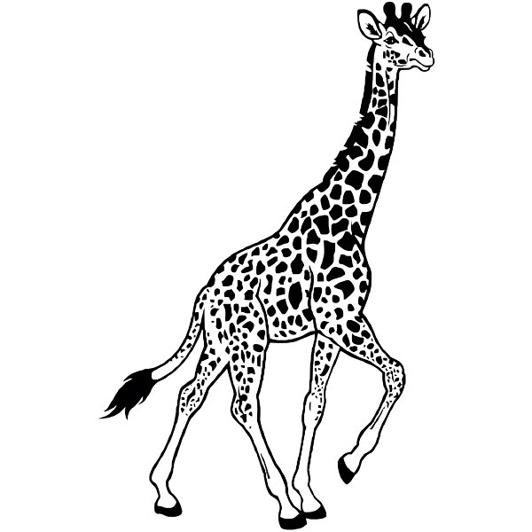 Wall Stickers: Giraffe walking