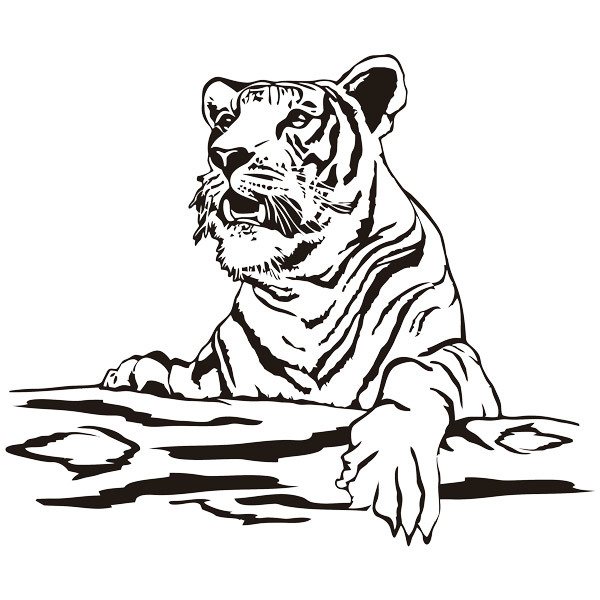 Wall Stickers: Tiger on a trunk