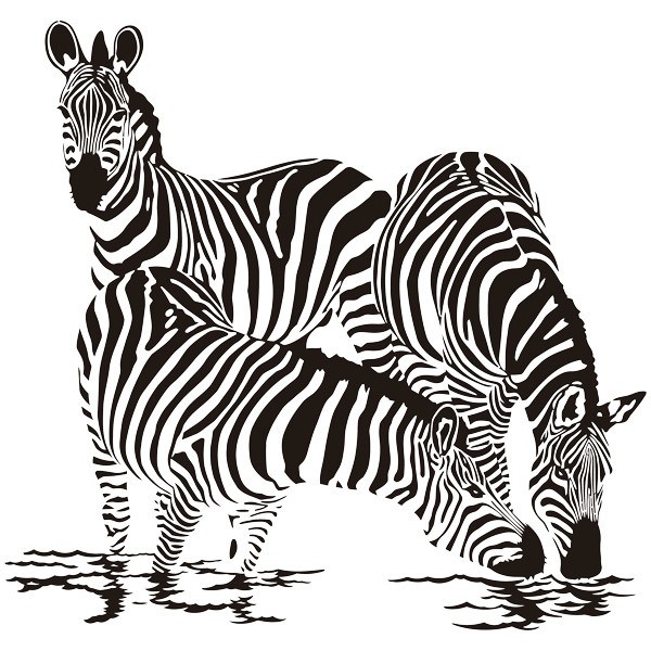 Wall Stickers: Zebras in the river