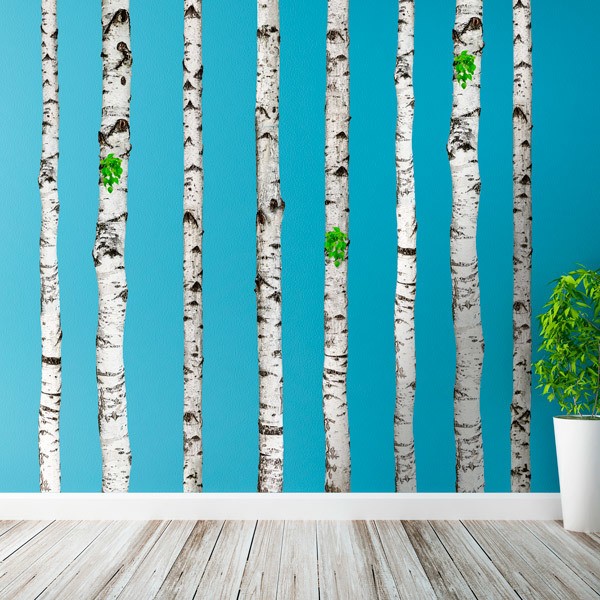 Wall Stickers:  Set 5 Birch trunk