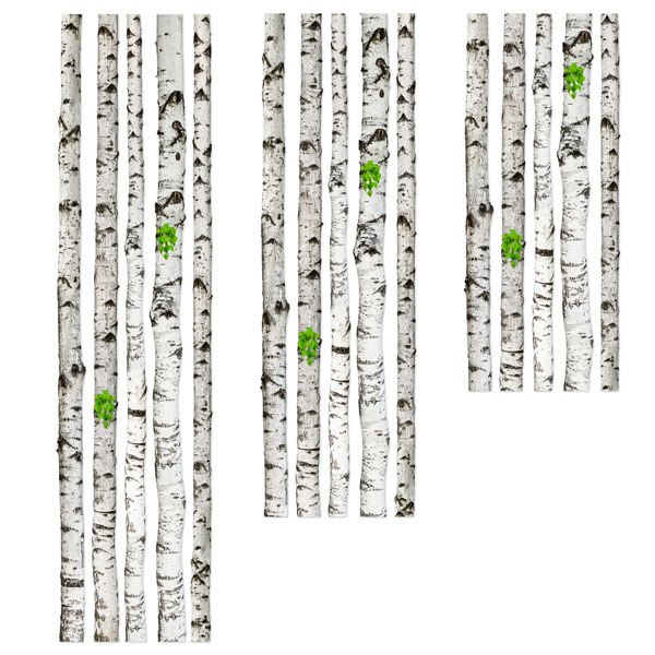 Wall Stickers:  Set 5 Birch trunk