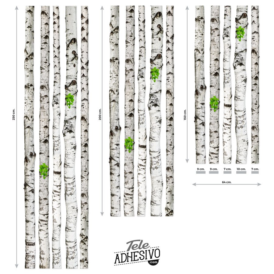 Wall Stickers:  Set 5 Birch trunk
