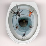 Wall Stickers: Spiders coming out of the toilet bowl 4