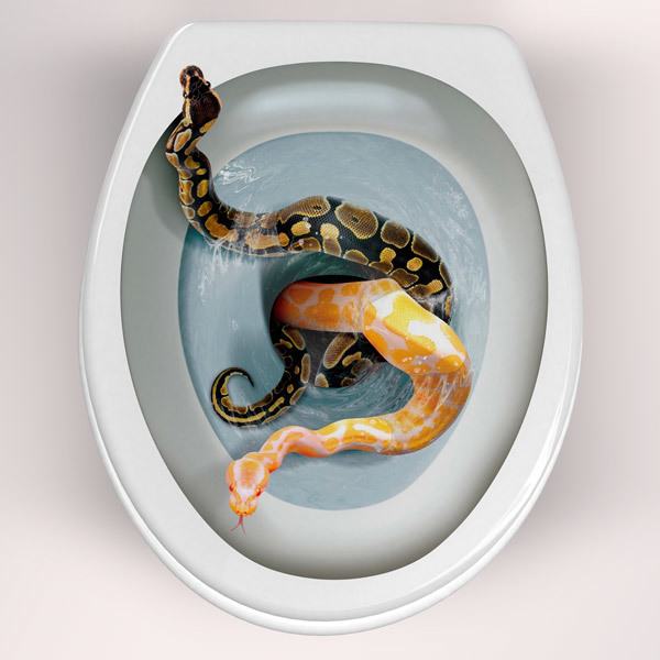 Wall Stickers: Snakes coming out of the bowl