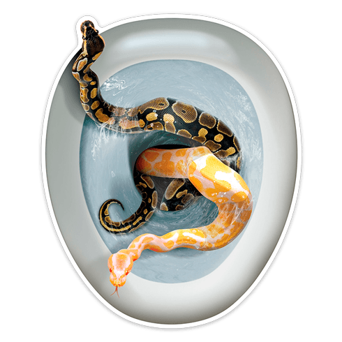 Wall Stickers: Snakes coming out of the bowl 0