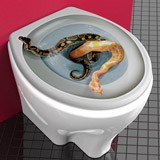 Wall Stickers: Snakes coming out of the bowl 3