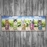 Wall Stickers: Adhesive poster of 5 kittens 3
