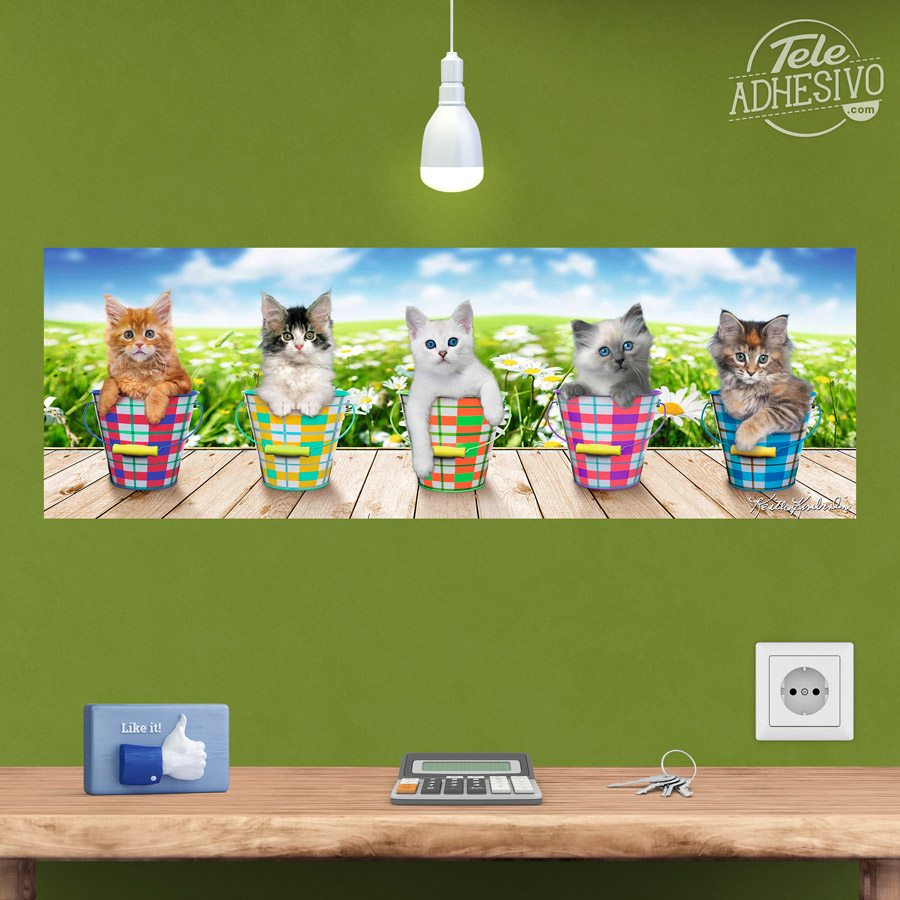Wall Stickers: Adhesive poster of 5 kittens