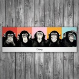 Wall Stickers: Adhesive poster of 5 Chimpanzees 3