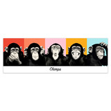 Wall Stickers: Adhesive poster of 5 Chimpanzees 4
