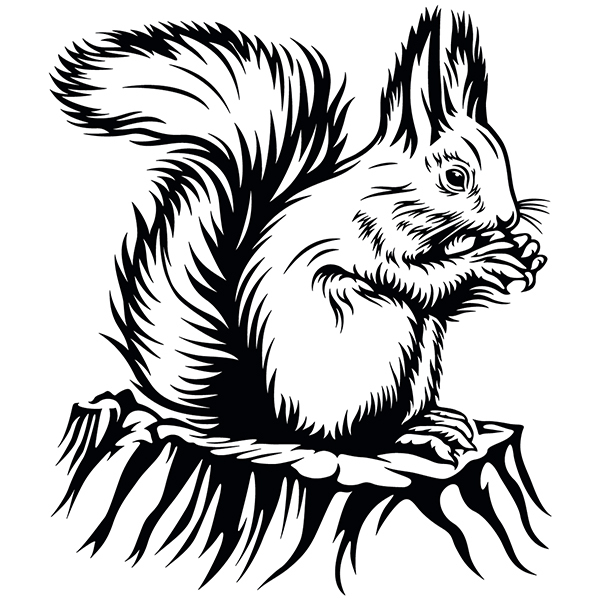 Wall Stickers: Squirrel eating