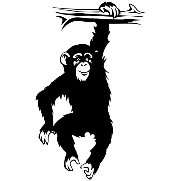 Wall Stickers: Chimpanzee on branch