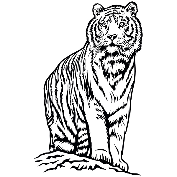 Wall Stickers: Bengal Tiger